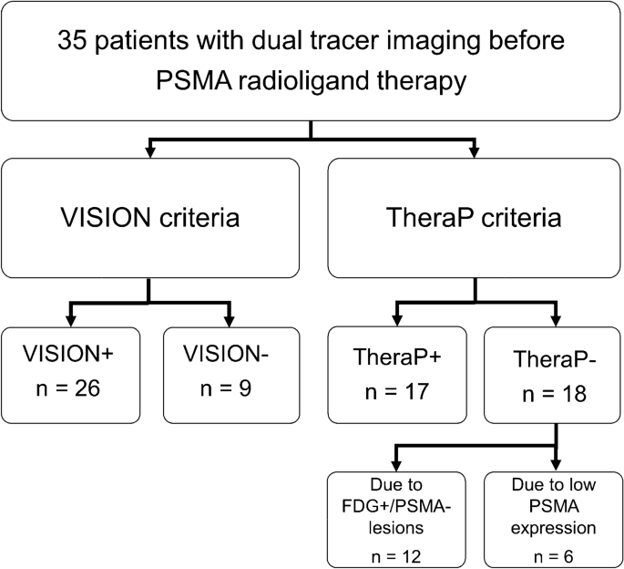 Comparison of PET/CT-based eligibility according to VISION and TheraP trial criteria in end-stage prostate cancer patients undergoing radioligand therapy.