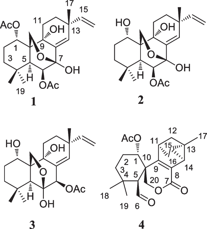 Kaemtakols A–D, highly oxidized pimarane diterpenoids with potent anti-inflammatory activity from Kaempferia takensis