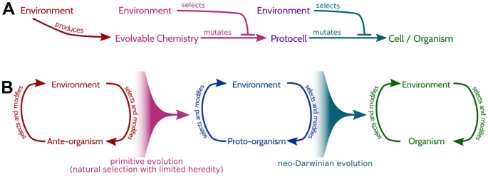 Behaviour and the Origin of Organisms.