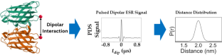 Differentiating Unimodal and Multimodal Distributions in Pulsed Dipolar Spectroscopy Using Wavelet Transforms