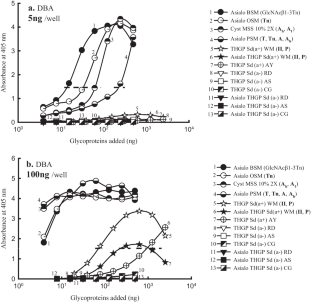 Recognition factors of Dolichos biflorus agglutinin (DBA) and their accommodation sites.