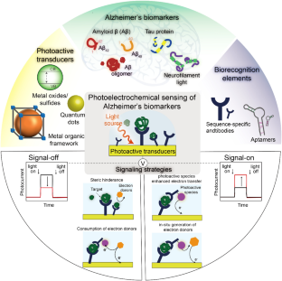 Recent Advances in Photoelectrochemical Sensing of Alzheimer’s Biomarkers