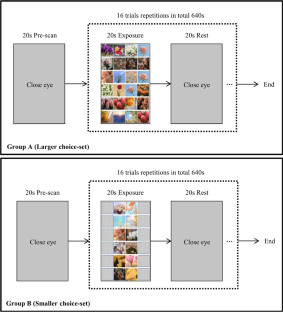 Role of music tempo in choosing from large and small choice sets: insights from functional magnetic resonance imaging (fMRI)