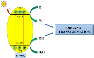 An overview of bismuth tungstate-based catalysts in various organic transformations