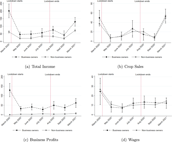 Adapting to an aggregate shock: The impact of the Covid-19 crisis on rural households.