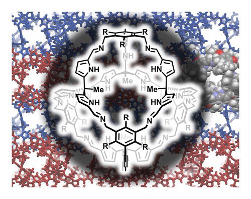 [4 + 4]-Imine Cage Compounds with Nitrogen-Rich Cavities and Tetrahedral Geometry