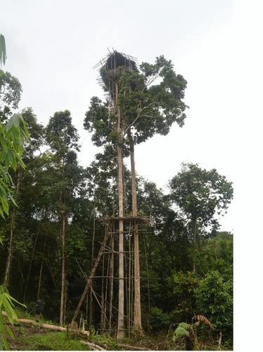 Culturally based learning needs of Korowai students in a lowland-remote area of Indonesian Papua: school physical environment and building design