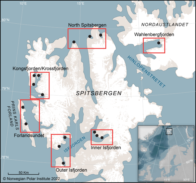 Marine diets of anadromous Arctic char (Salvelinus alpinus) and pink salmon (Oncorhynchus gorbuscha) in Svalbard, Norway