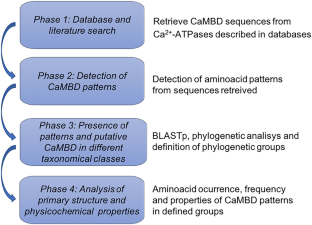 Structural Analysis and Diversity of Calmodulin-Binding Domains in Membrane and Intracellular Ca<sup>2+</sup>-ATPases.