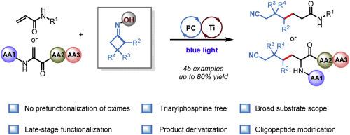 Photoredox/Ti dual-catalyzed dehydroxylative ring-opening Giese reaction of cyclobutanone oximes