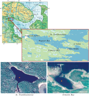 Reduced Sulfur Compounds in Bottom Sediments of Lakes at Different Stages of Separation from Kandalaksha Bay of the White Sea (Meromictic Lake Trekhtsvetnoe)