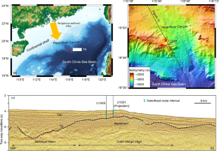 Rock physics diagnostics to characterize early diagenetic processes in hemipelagic calcareous ooze in the northern South China Sea margin