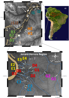 Exceptional Genetic Differentiation at a Micro-geographic Scale in Apistogramma agassizii (Steindachner, 1875) from the Peruvian Amazon: Sympatric Speciation?