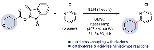 Photoinduced alkylation of diazines with N-(acyloxy)phthalimides in the presence of triethylamine