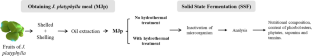 The effects of solid-state fermentation of the defatted Jatropha platyphylla meal on antinutritional factors, toxic compounds, and nutritional composition