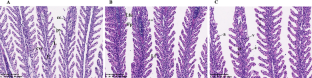 Stress response of rainbow trout fry after exposure to an elevated concentration of carbon dioxide based on transcriptome analysis