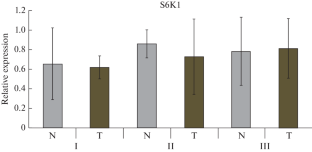 Expression of Ribosomal Protein S6 Kinase (S6K1) Isoforms in Different Types of Papillary Thyroid Carcinoma