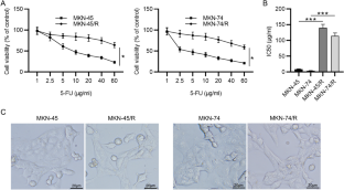 Inhibition of PI3K/Akt/mTOR Signaling Pathway Suppresses 5-Fluorouracil Resistance in Gastric Cancer.