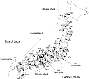 The domestication and breeding history of Castanea crenata Siebold et Zucc. estimated by direction of gene flow and approximate Bayesian computation