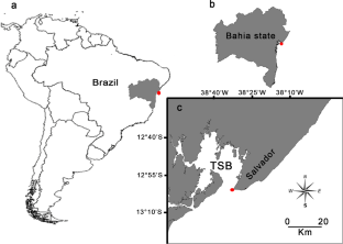 Calcareous sponges (Porifera, Calcarea) from the Northeastern Brazilian coast: integrative taxonomy and support for the creation of a marine park