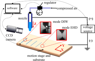 Multiscale Prototyping Approach via In-situ Switching Electrohydrodynamics for Flexible Microfluidic Design