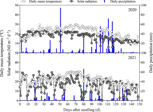 Effects of Straw Return and Nitrogen Fertilization on Grain Yield and Leaf Senescence of Maize in Northeast China