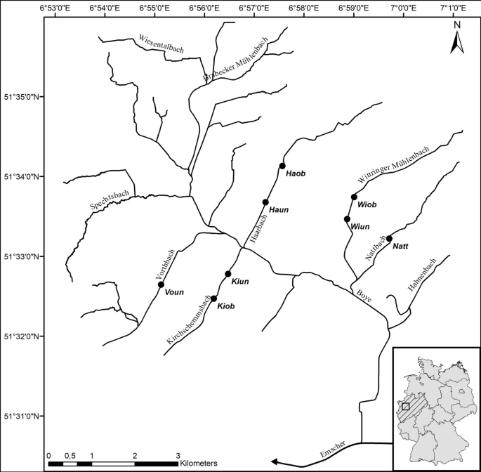 Habitat development and species arrival drive succession of the benthic invertebrate community in restored urban streams