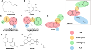 The mystery behind the apprehensions of the selective cannabinoid receptor type-2 agonist BZO-HEXOXIZID (MDA-19) as a drug of abuse.