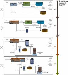 Empowering Municipal Wastewater Treatment: Enhancing Particulate Organic Carbon Removal via Chemical Advanced Primary Treatment