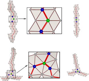 Diffeomorphic Registration of 3D Surfaces with Point and Curve Landmarks