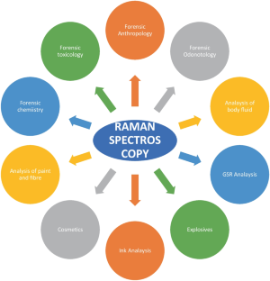 Applications of Raman spectroscopy in the analysis of biological evidence.