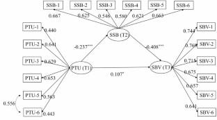 Perceived teacher unfairness and school bullying victimization of senior-grade pupils: The mediating effect and gender difference of the sense of school belonging