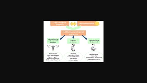 Hyperandrogenism and Polycystic ovary syndrome: Effects in pregnancy and offspring development.