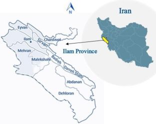 Human health risk assessment of toxic heavy metals in summer crops and vegetables: a study in Ilam Province, Iran