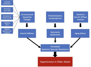 Slow on the Draw-ED Management of Elevated BP in Older Adults.