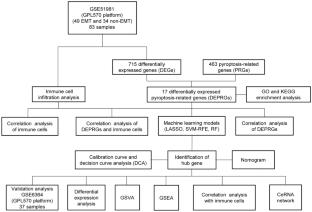 Identification and Immune Characteristics Study of Pyroptosis‑Related Genes in Endometriosis.