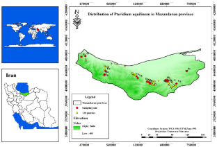 A regional assessment of the Pteridium aquilinum growth and phenology: a case study in Southwestern Asia