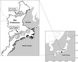 Effective environmental DNA collection for an endangered catfish species: testing for habitat and daily periodicity