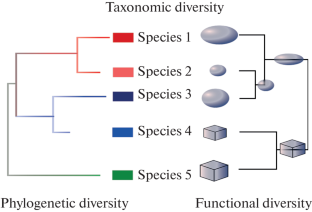 Stochastic and Deterministic Processes in the Establishment of Taxonomic, Functional and Phylogenetic Diversity of Ecological Communities: A Review of Modern Concepts