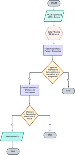 Transcript mining using fuzzy rough set theory in Oryza sativa grown under N-limited condition