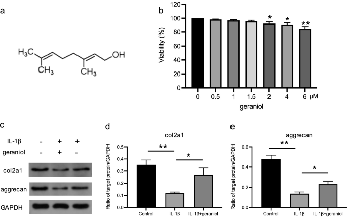 Intra-articular delivery of geraniol encapsulated by pH/redox-responsive nanogel ameliorates osteoarthritis by regulating oxidative stress and inflammation