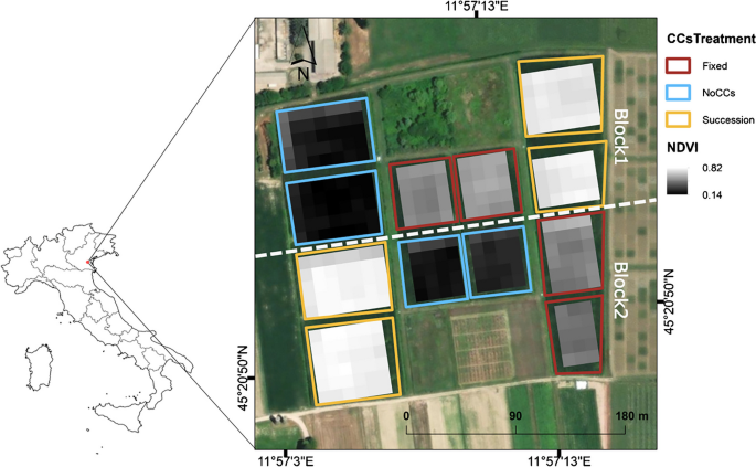 Satellite imagery and modeling contribute understanding cover crop effect on nitrogen dynamics and water availability