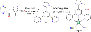 Synthetic, Structural and Supramolecular Features of a New Dithiocyanato-κ-N, κ-S-Copper(II) Complex: Insights Through Computational Studies