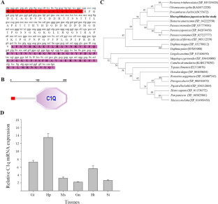 Responses of multifunctional immune complement component 1q (C1q) and apoptosis-related genes in Macrophthalmus japonicus tissues and human cells following exposure to environmental pollutants.