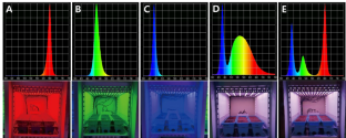 Light quality of light emitting diodes affects growth, chlorophyll fluorescence and phytohormones of Tulip ‘Lasergame’