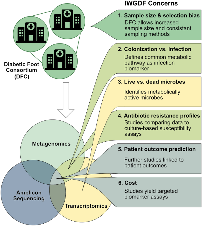 Next Steps: Studying Diabetic Foot Infections with Next-Generation Molecular Assays