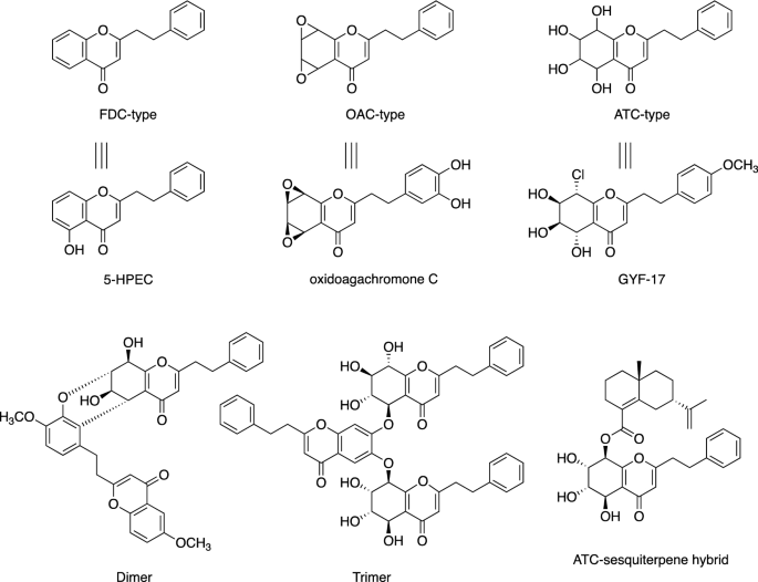 Identification of a diarylpentanoid-producing polyketide synthase in the biosynthesis of 2-(2-phenylethyl)chromones in agarwood