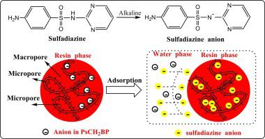 Adsorption of sulfadiazine on novel bilayer porous resin: Synergism of micropore filling and anion exchange