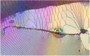 Relaxation and Domain Wall Structure of Bilayer Moiré Systems