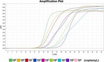 Application of a low-cost, specific, and sensitive loop-mediated isothermal amplification (LAMP) assay to detect Plasmodium falciparum imported from Africa